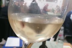 Cacchione