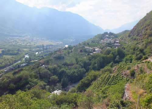 Triasso Valtellina