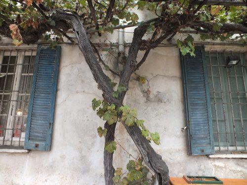 Cascina Campazzo